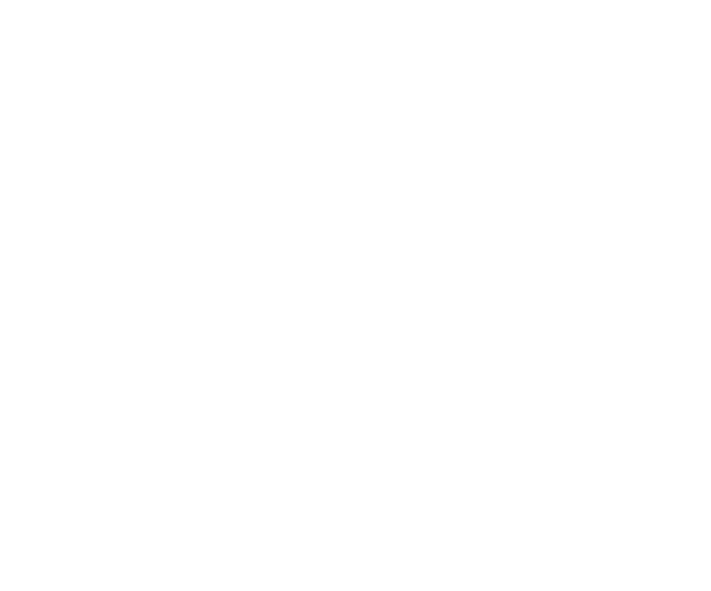 Olen rent a car TIA